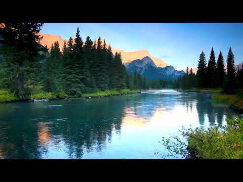 Calm Mountain River flowing in Elk Valley 4k. Relaxing River Sounds, Nature White Noise, 10 Hours.