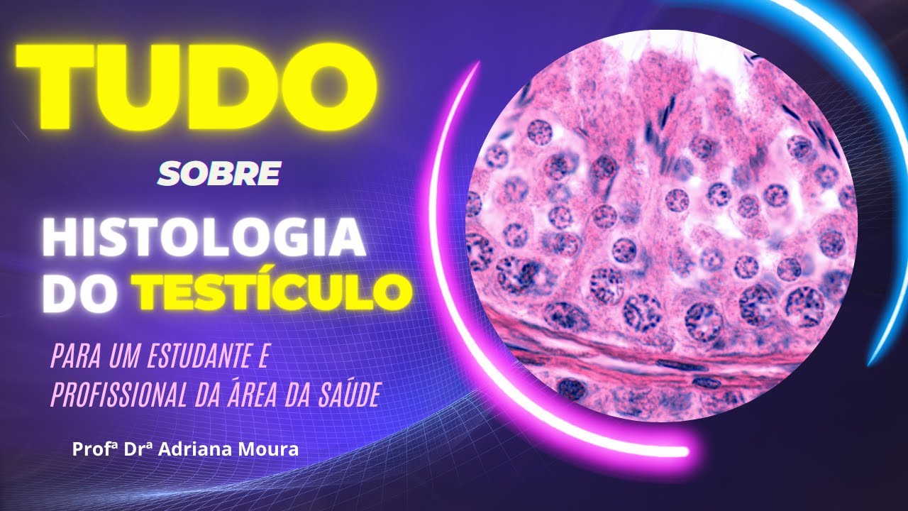 Histologia do Testículo