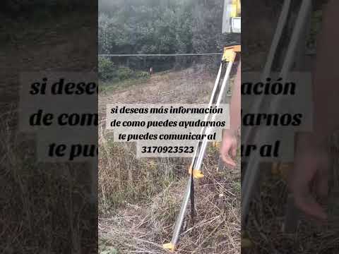 Refugio de  perros y gatos en Pamplona norte de Santander colombia;