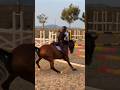 This Is How The Air Vest Works Equestrian Gilaryeq Horse Showjumping Girlrider Fy Fyp