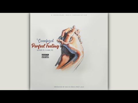 Qounfuzed - Perfect Feeling  (Lyric Video)