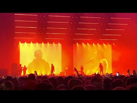 D Block Europe Live - Alexandra Palace London 2019