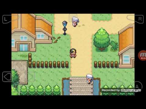 How to enter z stone (mega stone) in Pokemon mega version