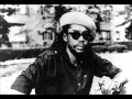 Peter Tosh (Feat. The Skatalites, The Upsetters) - Making Love
