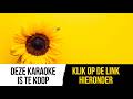 yves berendse & jim bakkum - dicht bij mij (piano en strings) (instrumentaal / karaoke)