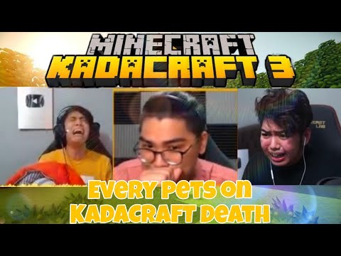 kadacraft member reaction when they pet die