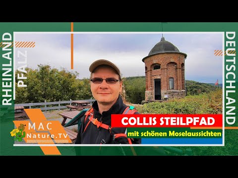 Collis Steilpfad mit schönen Mosel Aussichten  🍇 Mosel On Tour Teil4/4