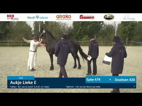 Stamboekkeuring Nunspeet | 7 oktober 2023