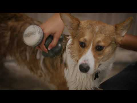 PawSpa ShampoochPro Pet Washer