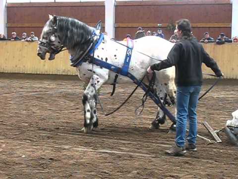 Těžký tah - 1400kg