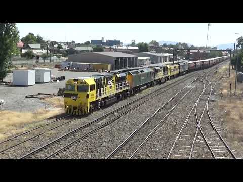 Three Quins and a Quad!--- NSW Main South. Feb 28, 2024.