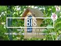 Nichoir Ibis Ø 28mm Nature Market Accueil