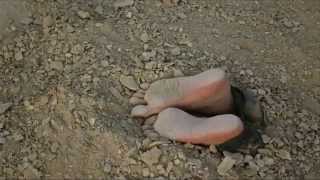 Трейлер превью