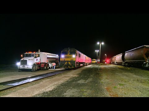 4KC4 SSR Grain Train Refuels Australian Diesel Locomotives RL306, G514 & CLF3 (21/10/2020) - PoathTV