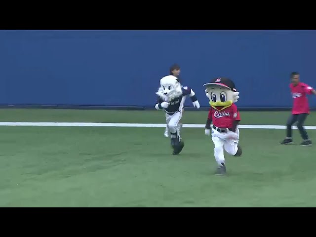 【試合前】今日はマリーンズファン vs ライオンズファンの子供達とマスコットがリレーで対決!! 2016/9/3 M-L