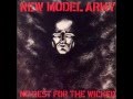 New Model Army - Ambition