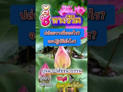 คลิกเพื่อดูคลิปวิดีโอ