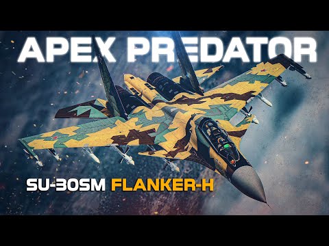 The Su-30SM Flanker-H Modern Thrust Vectoring Dogfight | Digital Combat Simulator | DCS |