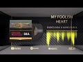 B2 Enrico Rava & Mario Rusca: My Foolish Heart