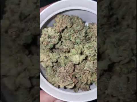 Torik169 - Kaffa (Offizielles IGTV Musikvideo)