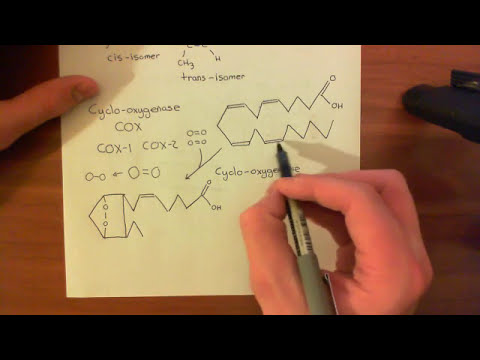 Endothelium Dependent Hyperpolarization Factor Part 2 - YouTube