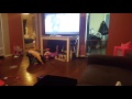 Bubble Guppies Biggest Fan Town Trouble
