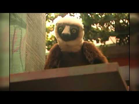 Zoboomafoo - The Odyssey of Popper (READ DESC.)