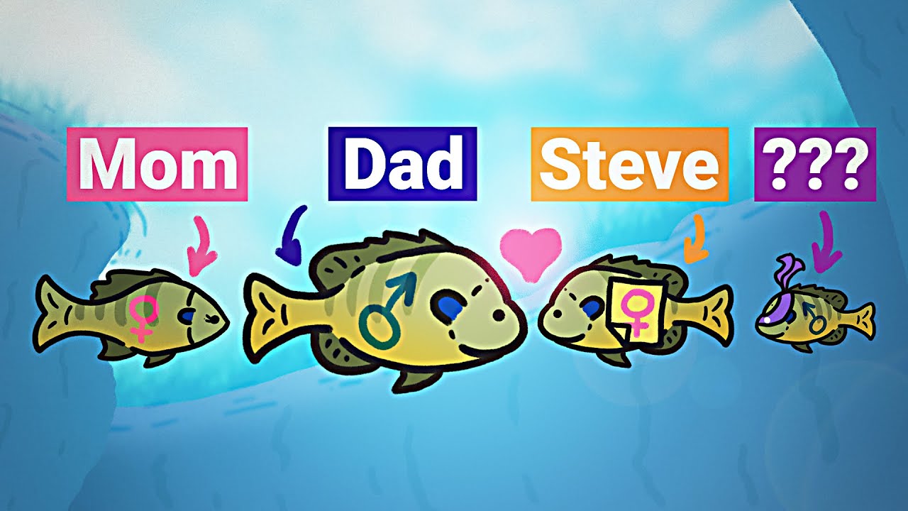 The Weird Sex Lives of Bluegills