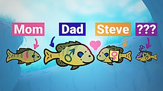 Re: [閒聊] 人類是卵生類還會這麼多獨角獸嗎