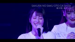 桜の咲く音がした「初めてのこの気持ちはきっと」佐々木舞香 ソロ