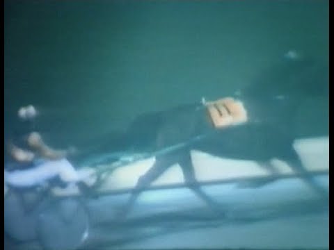 Harness Racing,Addington-17/03/1979 Trotters Inter-Dom Grand Final (No Respones-R.Brosnan)