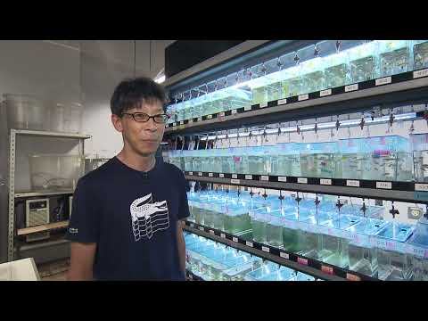 【福井県立大学】先端増養殖科学科　ゲノム応用科学分野　生物工学　吉浦 康寿 教授