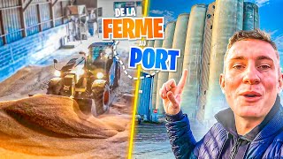 TRANSPORT DU BLÉ, DE LA FERME AU BATEAU ! TRANSPORT DU BLÉ, DE LA FERME AU BATEAU !