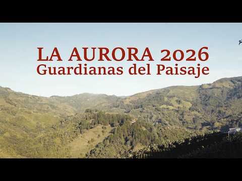   CO  Saltar navegación Alado Group     Crear   Imagen del avatar Kia x Alado - La Aurora 2026