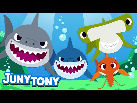 Shark Song | Shark Friends | Learn Sea Animals | Animal Song for Kids | Kindergarten Song | JunyTony
