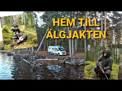 Älgjakt I Bastfallet 2021 - Long Movie - Moose Hunt & Hunting Lodge On Wheels - Ön Hedesunda