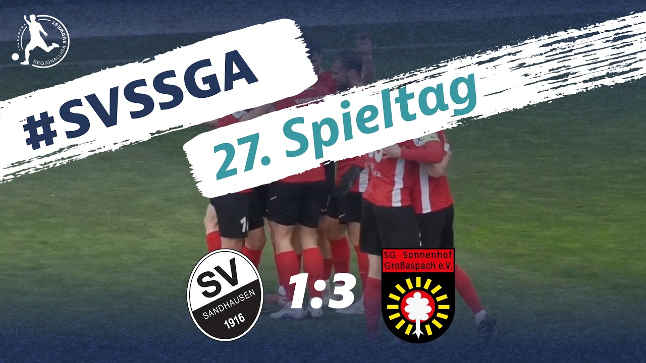 SV Sandhausen vs SG Sonnenhof Großaspach Highlights