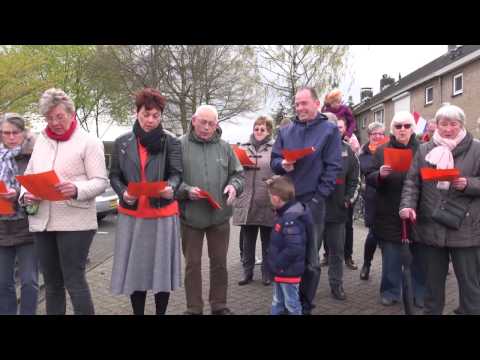Koningsdag 2016 in Schelluinen