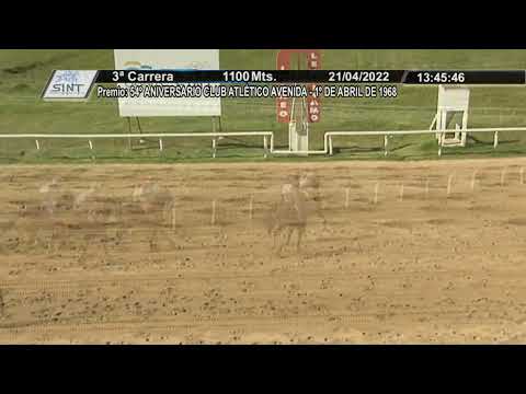 HIPODROMO SINT FLORIDA - 220421 c03 1° DON WATCHMON