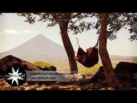 Do Not Disturb - Mixed by Side Liner