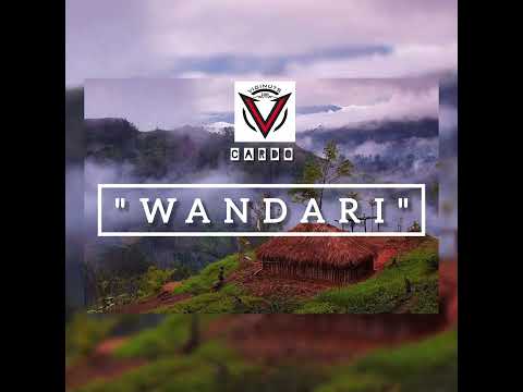 WANDARI | CARDO | VIGINUTS