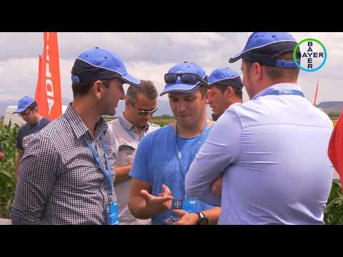 Bayer Agro Arena Zabala 2018 - clip ambiental