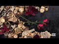 Moneybagg Yo YOMII Official Audio