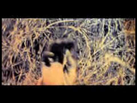 DJ Vieirinha Bob Sinclar & Madonna