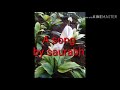 Tumahara Pyar Chahiye Song Film Manokamna Song