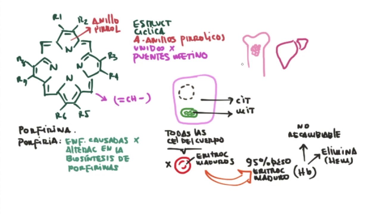 Porfirinas y síntesis del grupo Hem