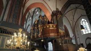 Arp-Schnitger-Orgel Norden Registervorstellung - presentation of stops by Thiemo Janssen