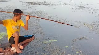Download lagu fishing incredible fishing video catching monster fish with single(big)hook in flood water mp3