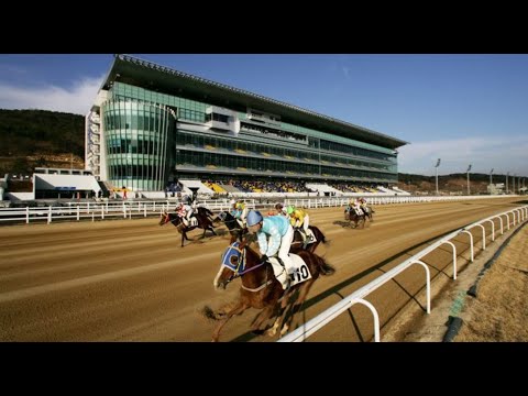 【BUSAN】SK HORSE RACE ANALYSIS - CHECK OUT ONE OF THE BEST ☆☆☆ TOO!!
