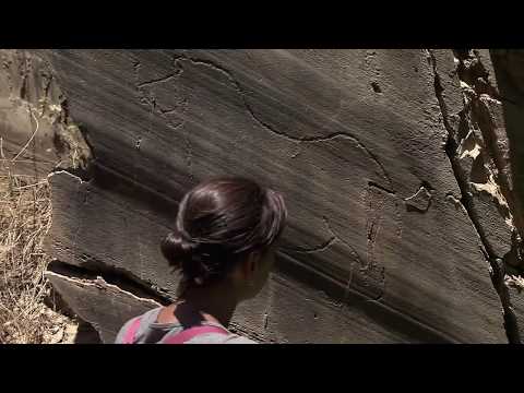 A ARTE DA LUZ TEM 20.000 ANOS de João Botelho (2014) – trailer